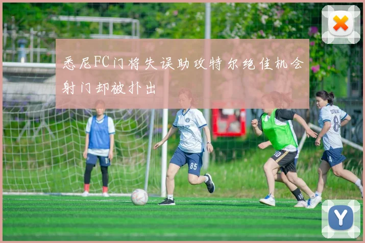 悉尼FC门将失误助攻特尔绝佳机会射门却被扑出